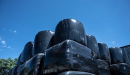 Storage and preservation of multispecies silage and hay